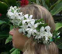 haku lei