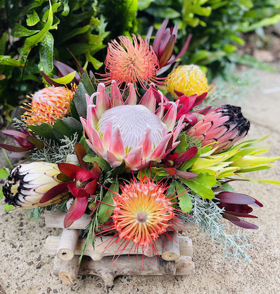 Protea arrangement in driftwood basket