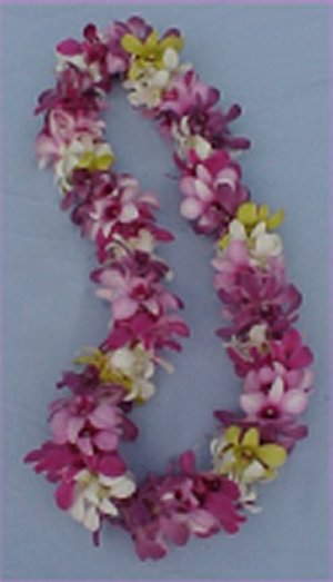 dendrobium orchid lei