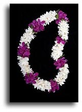 dendrobium orchid lei