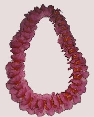vanda orchid lei