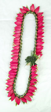 Red Ginger Lei