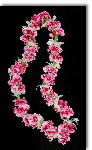 carnation orchid lei